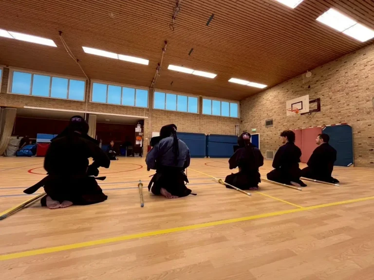 Kobudo store product display photo
